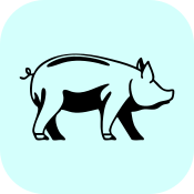 Icon-Home-Portfolio